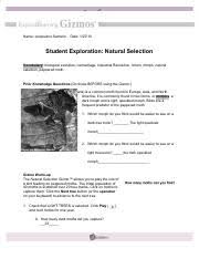 As you capture the moths most easily visible against the tree surface, the moth populations change, illustrating the effects of natural selection. Student Exploration Natural Selection Answer Key Docx Student Exploration Natural Selection Answer Key Download Student Exploration Natural Course Hero