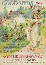Good Seeds At Fair Prices 1900 Vintage Seed Packets Seeds Seed Catalogs