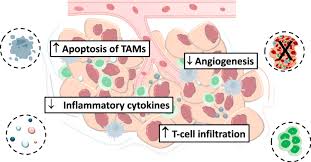 Image result for Trabectedin