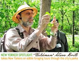 New Yorker Spotlight: 'Wildman' Steve Brill Takes Adventurous Folks  Foraging in the City's Parks