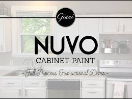 Nuvo Titanium Infusion Is An Ultra White Satin Finish Cabinet Paint That Is Part Of Our Modern Col Painting Cabinets Nuvo Cabinet Paint Painting Oak Cabinets