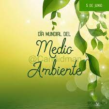El día mundial del medio ambiente se celebra el 5 de junio de cada año desde 1973.fue establecido por la asamblea general de naciones. 5 De Junio Dia Mundial Del Medio Ambiente Candidman Candidmanmx Candidman Frases Ecologia Medioambiente 5dejunio C Chars Home Decor Home Decor Decals