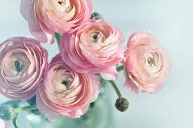 Pin By Chelsea Elander On September 22 2017 Expensive Flowers Flowers Wedding Flowers