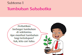 Soal Penilaian Harian Kelas 6 Tema 1 Sub Tema 1 Beserta Kunci Jawaban Gatra Guru