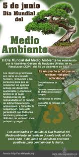 No esperemos a que sea demasiado. Celebraran Hoy Dia Mundial Del Medio Ambiente Infografia Dia Mundial Del Medio Ambiente Medio Ambiente Salud Y Medio Ambiente