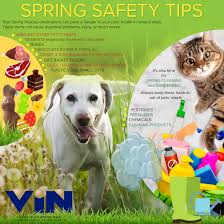 Maybe you would like to learn more about one of these? Lainer Animal Hospital Canton Ma Home