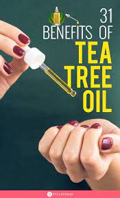 31 Amazing Benefits Of Tea Tree Oil For Skin Hair And Health Tea Tree Essential Oil Benefits Tea Tree Oil Benefits Tea Tree Oil Uses