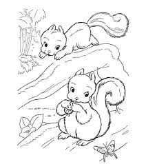 Squirrels couple in love with red hearts illustration. Top 25 Free Printable Squirrel Coloring Pages Online