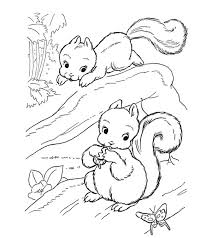 More than 5.000 printable coloring sheets. Squirrel Coloring Pages Free Coloring Pages Name Architect