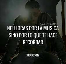 As we already know from his twitter presence, bad bunny is an icon, regardless of what the latin grammys think. 63 Bad Bunny Ideas Bunny Quotes Spanish Quotes Bad