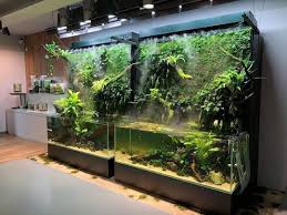Bể Thủy Sinh Kết Hợp Ban Cạn Cảnh Quan Babylon Nang Tầm Cuộc Sống Xanh 0899 909 119 0989 068 668 9 238 Aquascaping Akvaryum Akuaponik
