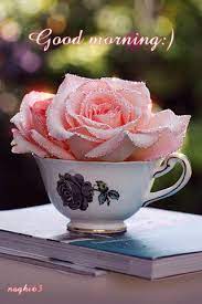 Good morning dearie, best friend, you are so beautiful and lovely. Description Good Morning Dear Friend Good Morning Flowers Good Morning Gif