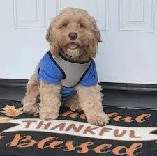 I'm done with Billy it's year 4 and it's still the same old garbage since  day 1