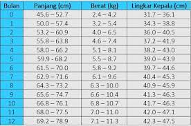 Semua penunjuk ini direkodkan oleh pakar pediatrik dan dibandingkan dengan standard sedia ada. Berapakah Panjang Dan Berat Normal Bayi Usia 0 Sampai 12 Bulan Kabar Tangsel