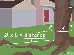 Check spelling or type a new query. How To Dig Up Tree Roots 12 Steps With Pictures Wikihow
