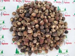 Image result for Sapindus