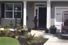 Watch: Alligator climbs door in mimicry of human visitor