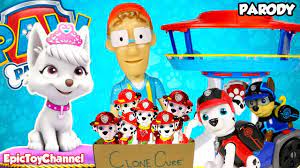 Paw Patrol Nickelodeon Mission Paw Paw Patrol Sea Patrol Sweetie Clones Marshall Epic Toy Channel Youtube Paw Patrol Nickelodeon Paw Patrol Paw Patrol Toys