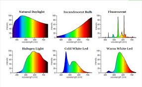 Maybe you would like to learn more about one of these? What Color Light Is Best For Plant Growth The Tilth