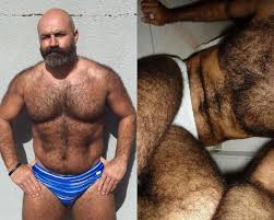 Ursos Peludos e Gay Daddies | Machos ao Natural - Ditadura G