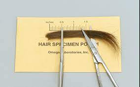Does crst do a hair follicle drug test. Hair Follicle Drug Test 5 Panel Drug Test Best Price Alco