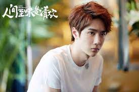 The real reasons why we choose that special someone. The Other Love Actually Why You Ll Love The Wang Yibo Show Film Daily
