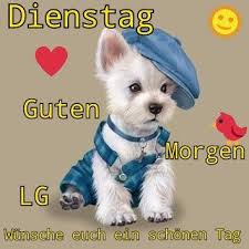 Guten morgen dienstag stockfoto und mehr bilder von 2015. Pin Von Sternchenxx Auf Wochentag Grusse Dienstag Grusse Guten Morgen Gruss Guten Morgen