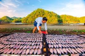 Environment Philippines U S Agency For International Development