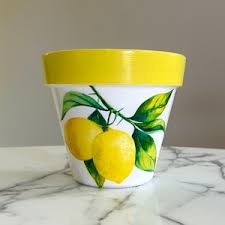 Sally Lem's favorite items