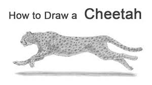 Learn to draw a microphone, a strawberry, a spaceship, a hand, and more. How To Draw A Cheetah Running