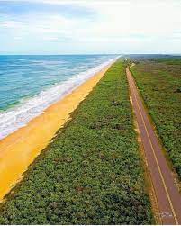 Cape Canaveral National Seashore Florida Images Beach Photography Florida
