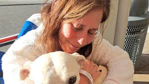 Fundraiser for Susannah Grasso by Tracey Semelsberger : Susannah "Shana"  Grasso needs our help Right Now!