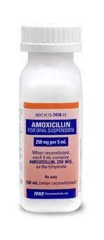 Amoxicillin Antibiotic For Pets Medi Vet
