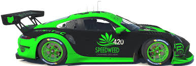 THE TODD SPEED WEED Porsche 911R GT3 by Todd Schwarz