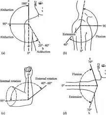 shoulder range of motion chart joint rom chart head