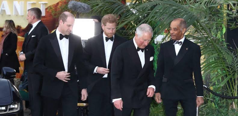 King Charles Gives Prince William Prince Harry's Military Role