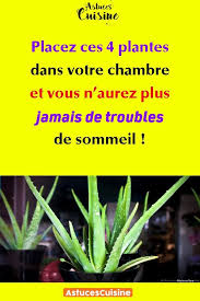 Placez Ces 4 Plantes Dans Votre Chambre Et Vous N Aurez Plus Jamais De Troubles De Sommeil Trucs Et Astuces Maison Astuce Menage Sommeil