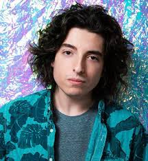We did not find results for: Nick Wolfhard Imdb