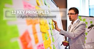 Agile is an approach to project management that favors responding to change over careful planning. 12 Key Principles Of Agile Project Management You Should Learn