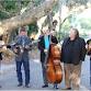 Friday Night Concert: Swinging Bridge - Centennial Park, 200 W Venice Ave Event Image