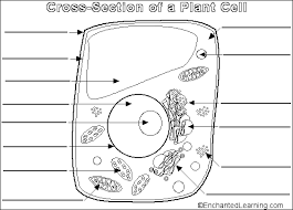 Check spelling or type a new query. Pin On Science