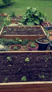 Starting an herb garden is a rewarding way to begin (or expand) your gardening knowledge. How To Start An Herb Garden Happy Diy Home