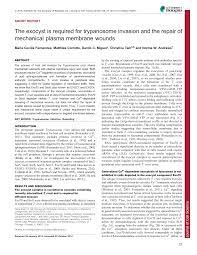 We did not find results for: Https Jcs Biologists Org Content Joces 128 1 27 Full Pdf