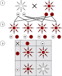 Laws Of Inheritance Dominance Segregation Independent