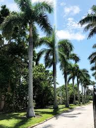 Worth a try, even if you. Snapshots From Anna Maria Island Hi Sugarplum