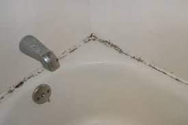 These microorganisms have a tendency to replicate in a circular manner especially when they are still wet and slimy. Bathroom Mold How To Kill Bathroom Mold Mold On Bathroom Ceiling