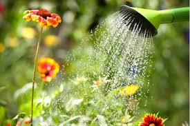 Die festen bestandteile setzen sich am behälterboden ab und werden somit zurückgehalten. Gartenwasserzahler