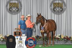 Blue Mountain Quarter Horses' Blueprint for Winning