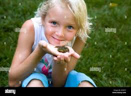 Frog pose hi-res stock photography and images