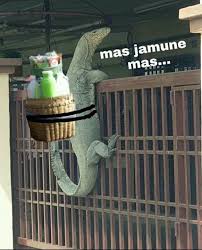 Pin Oleh Gusti Githa Di Humor Komodo Meme Lebah Jantan